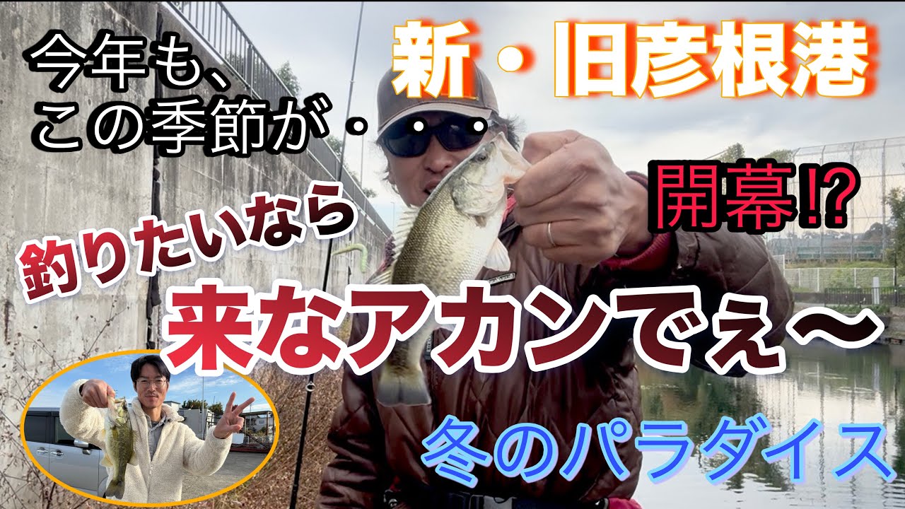 シーズン開幕⁉︎ 今年もこの季節がやって来た。大爆釣‼︎ 新・旧彦根港【ブラックバス釣り】