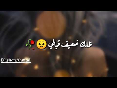 من أجمل حالات واتس اب اليسا بعدك بس يمرق اسمي تخلق جواتك ازمي