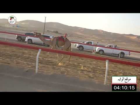 الشوط 3 صعب ل نهيان خالد بن مسلم العامري 7 57 شارة الاتحاد 2021 11 12 لقايا الساد