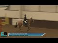 Bury Farm Small Pony Premier | BS Special Qualifier | Sunday 19th February 2017