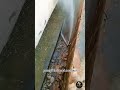 Ditch debris removal process - machinery and Good tools make work easy
