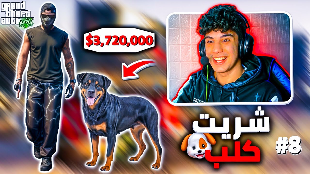🇲🇦 شريـت كلب 🐶 فالمدينة مغريبة | GTA RP MAROC #8 الحياة الواقعية