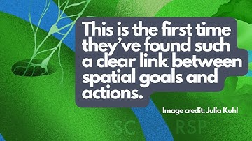 Brain circuit that converts spatial goals to escape actions discovered