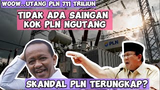 PLN Utang Rp711 Triliun! Perusahaan Monopoli Kok Bisa Boncos? Uang Rakyat Kemana? Ini Penjelasannya