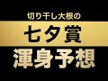 【七夕賞2020】必ず抑えたいポイントは１つのみ！今年こそ織姫を迎えに行きます！