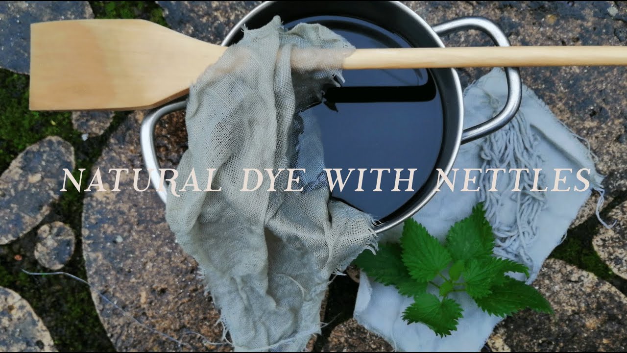 NETTLE, How to NATURAL DYE at home, NATURAL DYE, Botanical colours