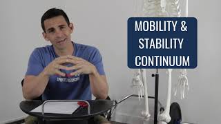 Mobility Stability Continuum Discussion