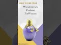 Hard To Find | Discontinue | Boss Bottled | Burberry Black | Wonderstruck Perfume