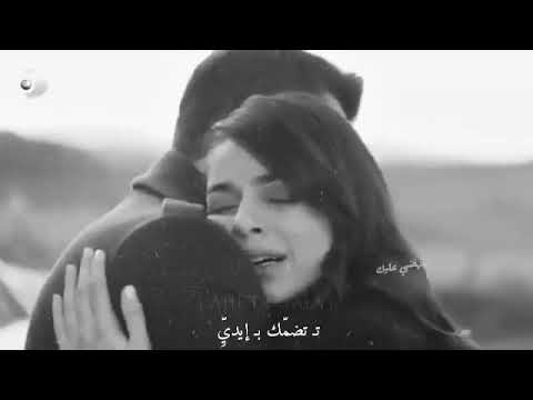 شوبحبك لما بتحكي حالات وتس وائل كفوري 