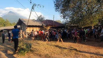 txog peb caug lawm peb cov hmoob thoj lwm qaib o