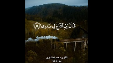 ﴿قَالَ رَبِّ اشْرَحْ لِي صَدْرِي﴾ القارئ محمد المنشاوي