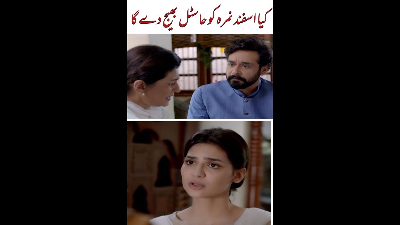 Baba Jani - Episode 17 Teaser Promo | Har Pal Geo