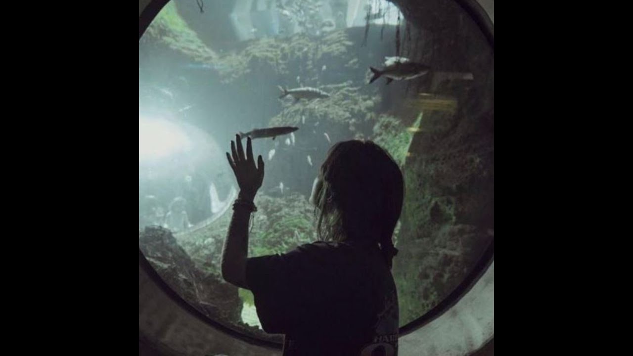 [FREE] Sewerperson x Alternative Rock x Emo Guitar Type Beat 2023 - "Moment"