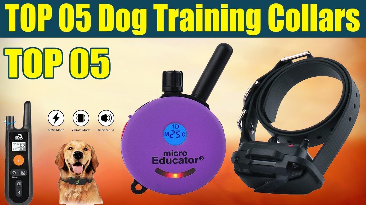 Top 05 Best Dog Training Collars on || Gadget Express On Aliexpress