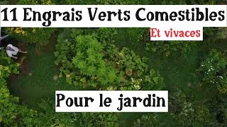 11 Plantes Comestibles, Vivaces et engrais verts