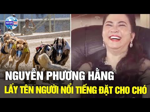 Video Trường đua Đại Nam gây bão mạng: Nguyễn Phương Hằng... - youtube