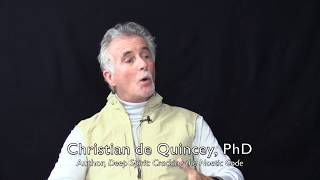 Video Nugget: Human-Dolphin Telepathy with Christian de Quincey