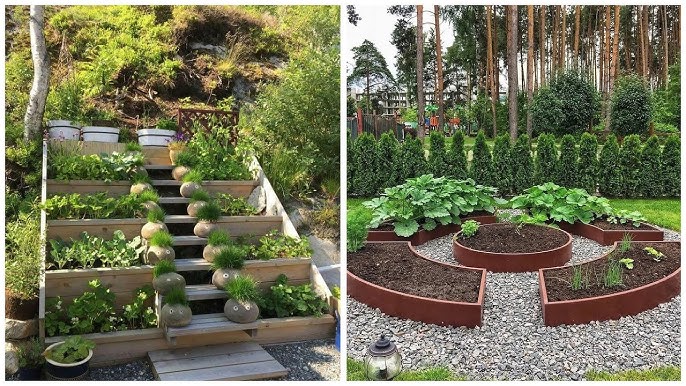 16 Backyard Vegetable Garden Ideas for Beginners