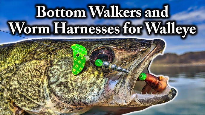 Pre-Spawn Walleye on Worm Harnesses and Super Slow Death Rigs