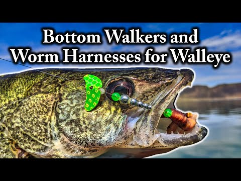 Bottom Walkers and Worm Harnesses for Walleye [The Basics] 