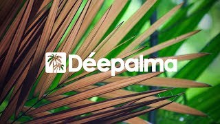 Ucha  Bolero depalma Records