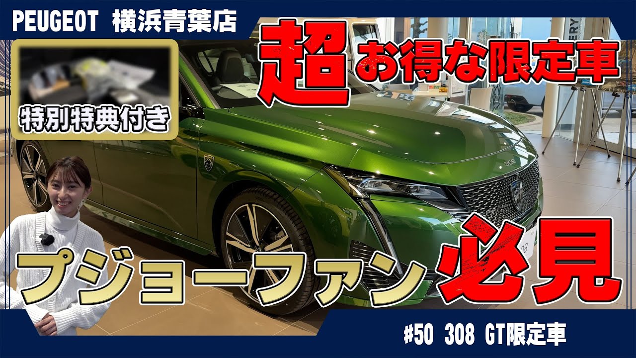 ウ308 煙管『金工師 木村清五郎（清雲）』『即中斎好写南鐐純銀 キセル