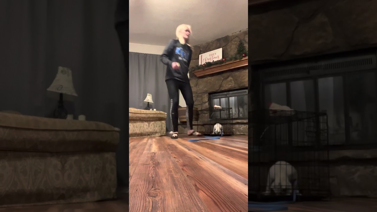 Crate training 5 month old white pug