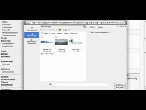 Video: Een Afbeelding Invoegen In Een Pagina
