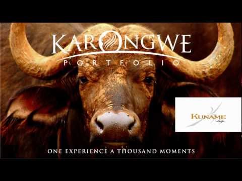 Kuname Lodge at Karongwe Portfolio