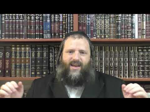 ה' רועי לא אחסר - המזמור שדוד המלך שר ביער חרת אחרי הרצח הנורא של משפחתו - ביאור ר' חיים מואלוז'ין