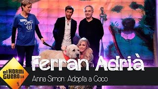 Coco, el perro gigante en El Hormiguero 3.0