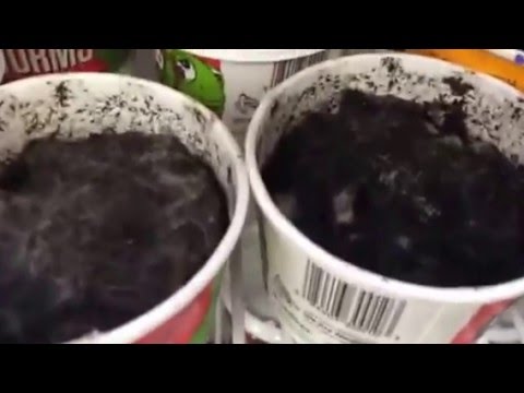 Freshwater Bait at Walmart Dead Trout Worms Dead Night Crawlers 