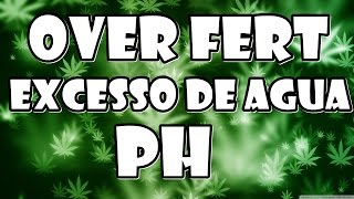 OVER FERT CANNABIS MACONHA CUPOM10%OFF GROW POWER CULTIVO INDOOR