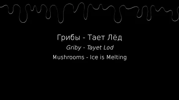 Грибы - Тает Лёд - Lyrics/Pronunciation + English translation