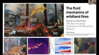 APS DFD Seminar: Fluid Dynamics of Wildfire Spread