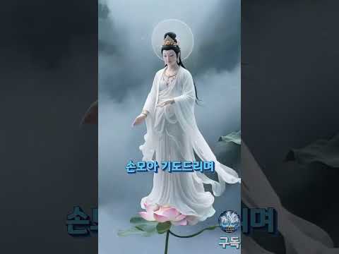 불면증에 듣는 천수경 — 잠이 솔솔 오는 관세음보살의 자비 🌙 #나무아래 🌿 #불교음악