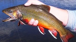 Join cal kellogg, chris hammond and tom o'brien on the hunt for big
trout adventure in northern california subscribe to fishing west with
kel...