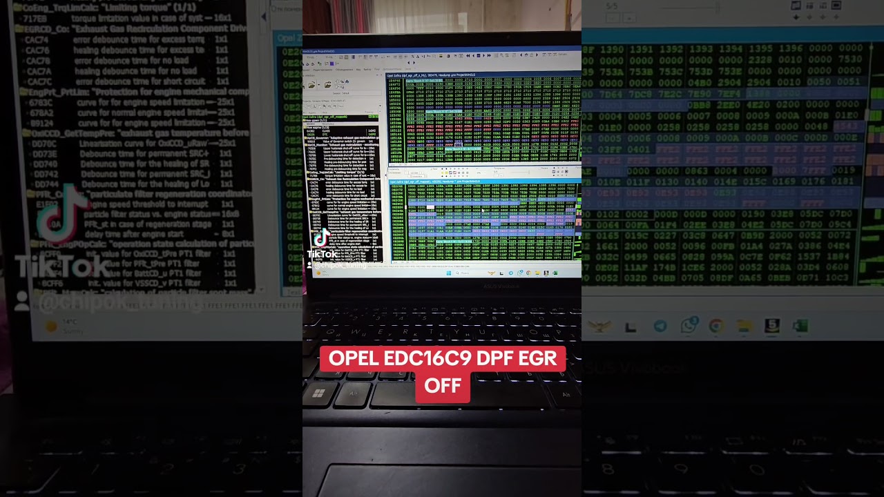 OPEL EDC16C9 DPF EGR OFF