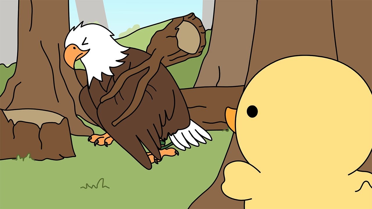 duckling treats an eagle | ASMR animation