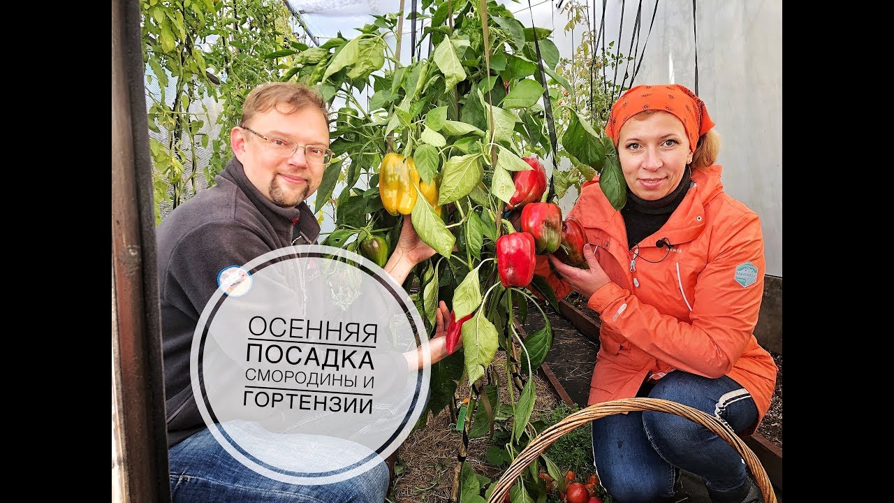 Муж марины рыкалиной. Дачные радости с Мариной Рыкалиной.