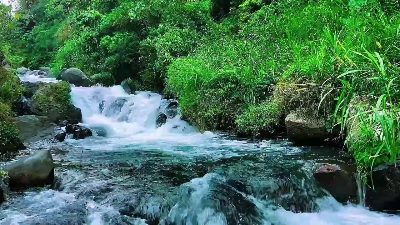 Natural Forest River Sounds, Mountain Stream Flow, Sleep