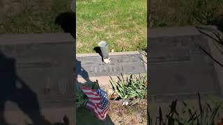 Visiting Aunt Mary Murphy's gravesite. Mount Olivet Cemetery.