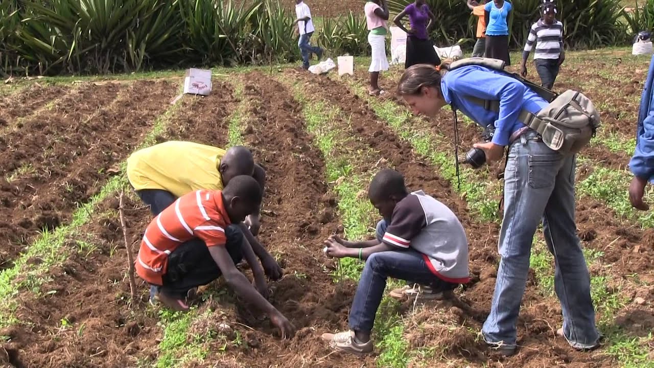 Echange entre Luxembourg et Gros Cheval, Haiti, Projet d'OTM