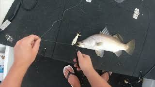 Mancing ikan saat air pasang disambar ikan terus samapai putus #mancing #ikan #ikanlaut screenshot 3