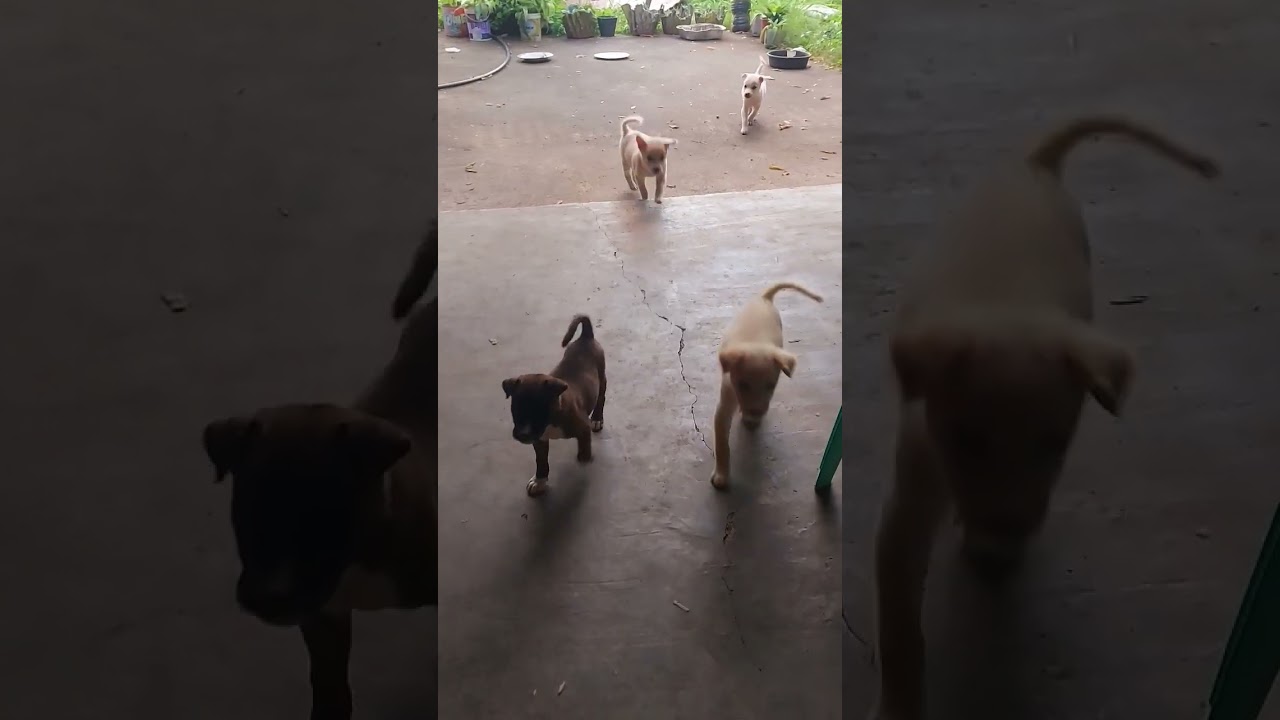 Kakamissed naman to sila😥