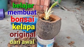 Learn to make original coconut bonsai from scratch (coconut bonsai)