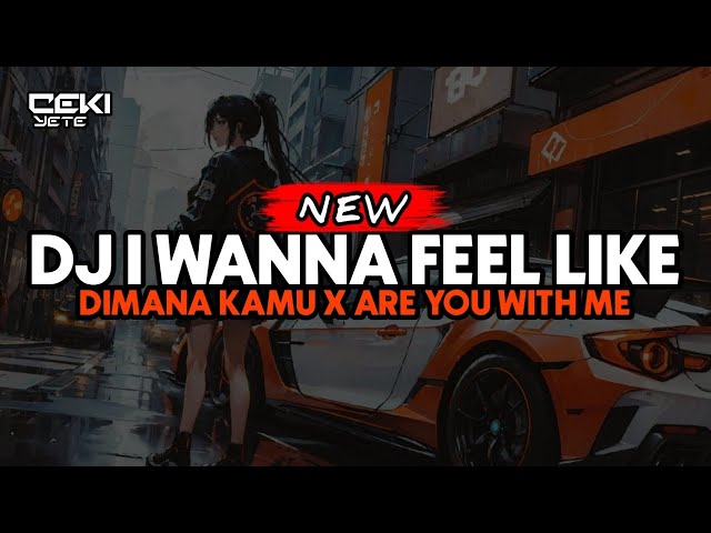 DJ I WANNA FEEL LIKE X DIMANA KAMU X ARE YOU WITH ME || VIRAL class=