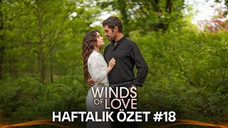 Winds of Love Weekly Summary #18 | Rüzgarlı Tepe Haftalık Kolaj #18