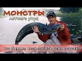 СОМ и ЖЕРЕХ на СПИННИНГ! Стрит фишинг в Праге | Рыбалка в Чехии