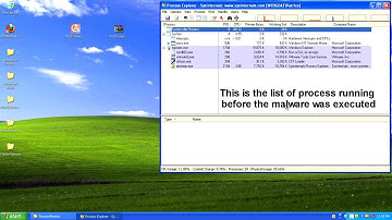 MAAT Assignment Basic Dynamic Analysis part 1 - Lim Hong Xuan & Nicole Tan